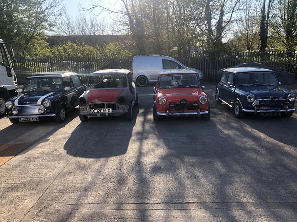 Four classic Minis parked in a row in a yard